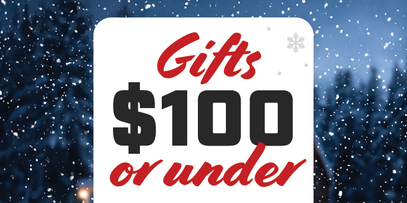 Special: 2024 Holiday Gift Guide - under $100